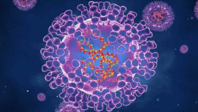 Scientists have reported the effect of monkeypox on the heart