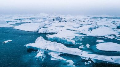 Scientists want to freeze the Earths poles again but not everyone likes their plan whats wrong