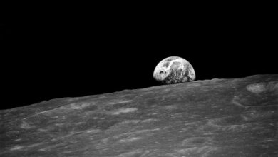 Seeds in space exploring plants on the Artemis I mission
