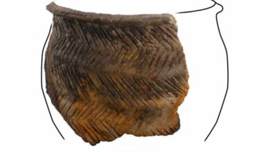 Stone Age pot with traces of milk porridge found in Scotland
