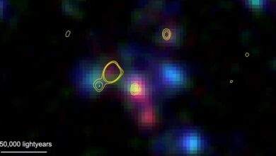 Student discovers cluster of galaxies formed in early universe