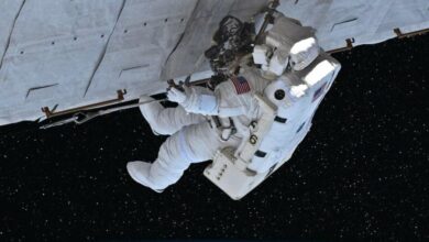 Studying stem cells in zero gravity can determine if its safe