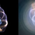 Stunning new 3D model of the Cats Eye Nebula could help us unravel its mysteries
