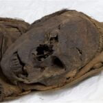 Tomography of South American mummies told archaeologists about the details of ancient murders 1