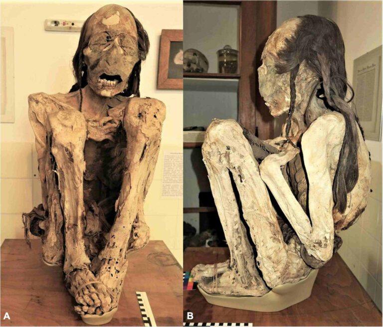 Tomography of South American mummies told archaeologists about the details of ancient murders 2