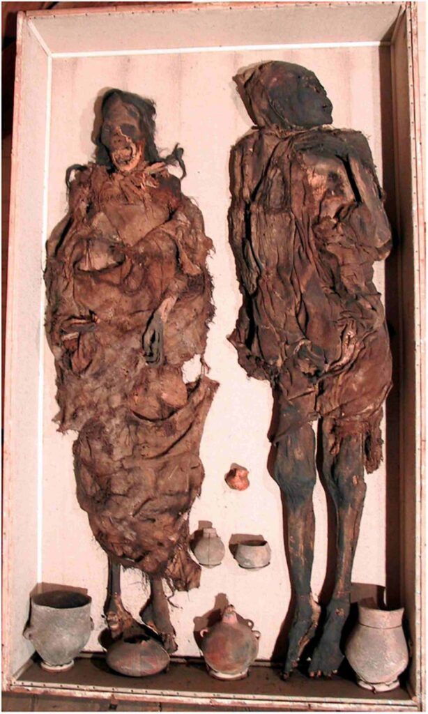 Tomography of South American mummies told archaeologists about the details of ancient murders 3