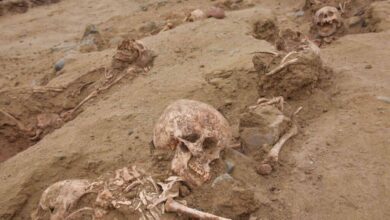 Traces of large scale child sacrifices found in Peru 1