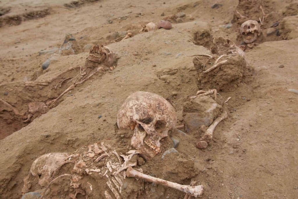 Traces of large-scale child sacrifices found in Peru 1 Traces of large scale child sacrifices found in Peru 1