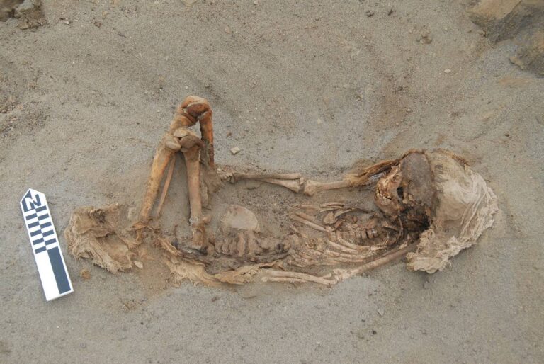 Traces of large scale child sacrifices found in Peru 2 Traces of large scale child sacrifices found in Peru 2