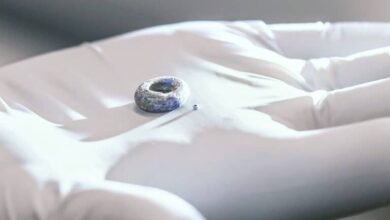 Venetian beads and Indian glass what the beads found in Southeast Africa told about