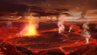 Volcanic eruptions are the main reason for the extinction of dinosaurs