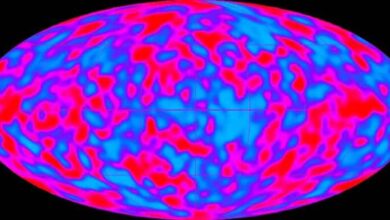 Why is there no antimatter in the universe The Cosmological Collider may provide the answer 1