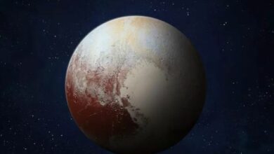 Why not all scientists agree that Pluto is not a planet 1