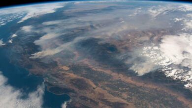 Wildfires in Australia warm the stratosphere