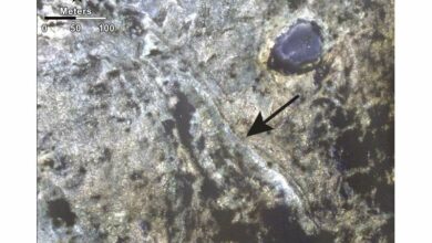 Wind drives geology on Mars these days