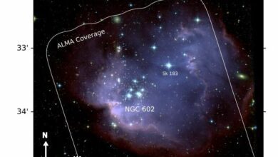 Young open cluster NGC 602 explored with ALMA