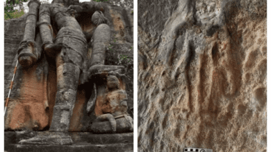 1500 year old Buddhist temple and other structures discovered in India 1