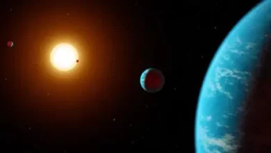 2 incredibly rare exoplanets could give us a glimpse of a planet near home