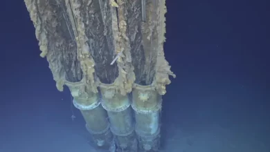 American destroyer of the Second World War found in the Philippines