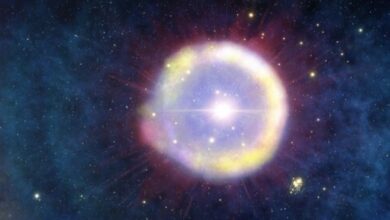 Astronomers first discovered traces of an unusual supernova explosion