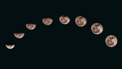 Australia wants to grow plants on the moon