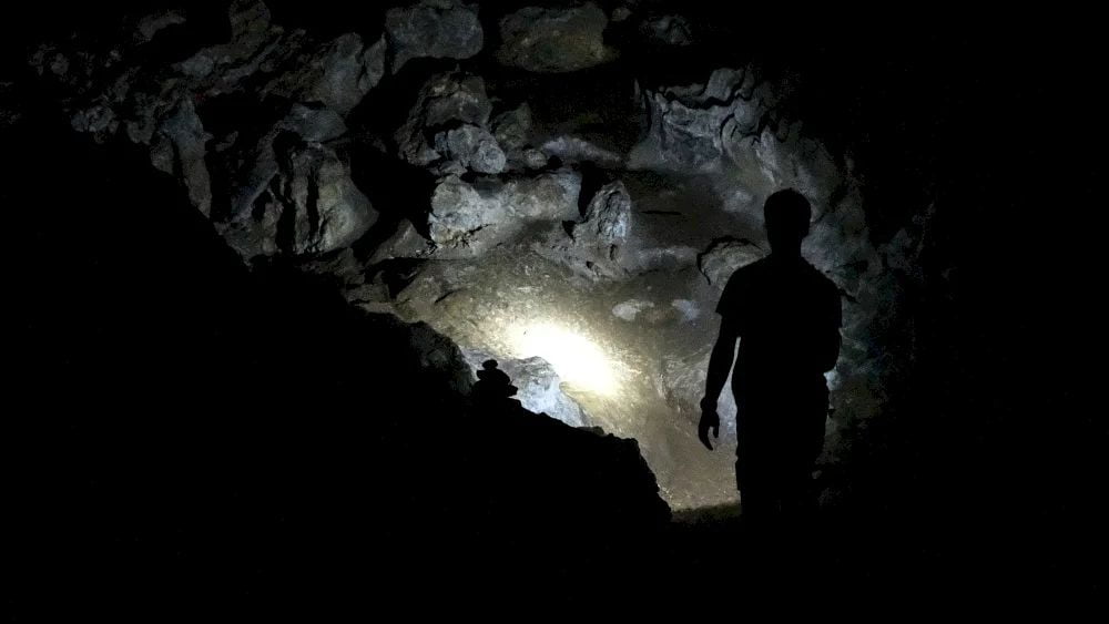 Bacteria with interesting properties discovered in the caves of Algiers