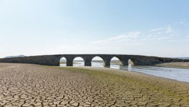 Chinas largest freshwater lake dries up to a record high