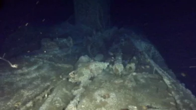 Divers found a German submarine from the First World War