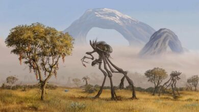 Do aliens exist Astrobiologist Martin van Kranendonk answers