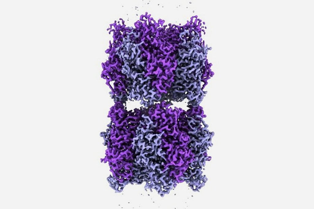 Mystery of the most common enzyme on Earth is solved