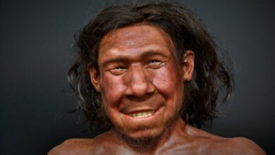 Neanderthals