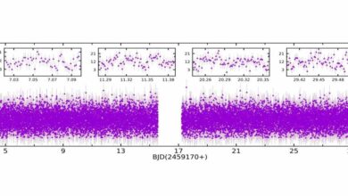 Researchers believe that SWIFT J0503 7 2819 is an intermediate polar