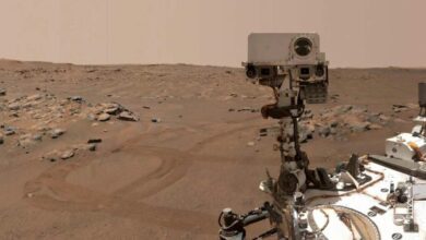 Rovers finds will allow us to study the ancient landscape of the Red Planet