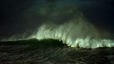 Scientists Dead creatures in the ocean can influence earthquakes