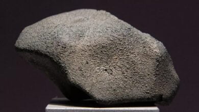 Scientists discover three meteorites contain all the building blocks of DNA