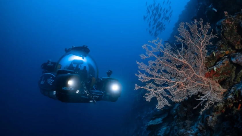 Scientists have discovered a new ecosystem at the bottom of the ocean near the Maldives