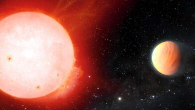Scientists have discovered an exoplanet with extremely low density