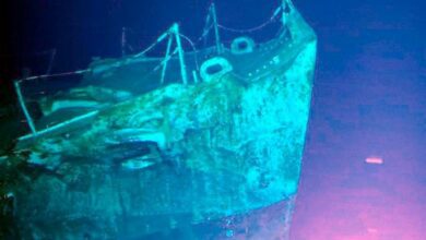 Scientists have found that explosives are still leaking from sunken Nazi ships