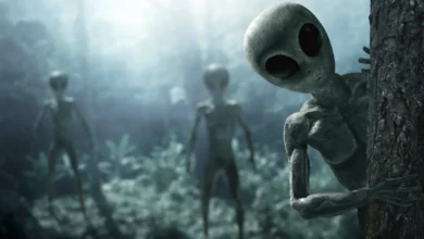 Scientists told how dangerous for humanity a meeting with aliens