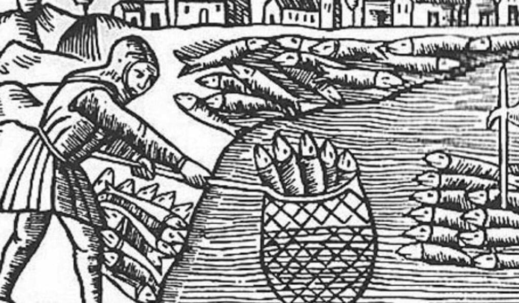 Vikings were accused of exterminating the Baltic herring 1