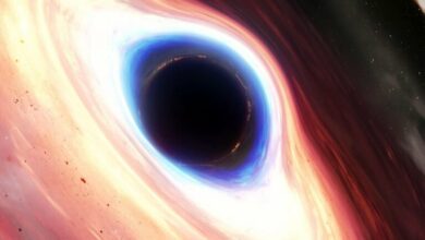 Why didnt ancient black holes gobble up the entire universe 1