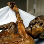 Archaeologists have disproved the theory about the reasons for the preservation of the ice man Otzi