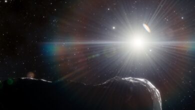 Astronomers have discovered three near Earth asteroids hiding in sunlight