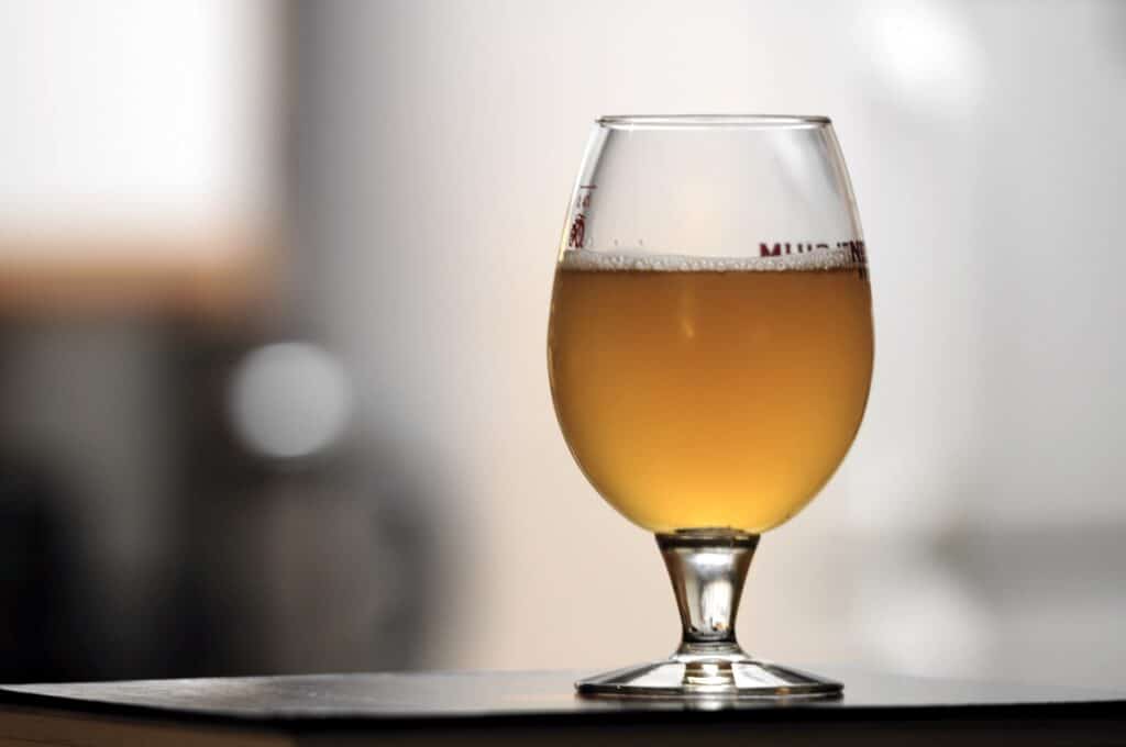 Beer hops may be a defense against Alzheimers