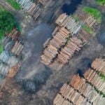 Brazils rainforests are approaching the point of no return