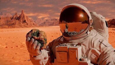 Can humanity conquer Mars