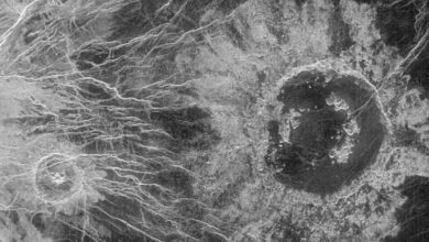 Flying over Venus surface images taken by NASAs Magellan spacecraft 2