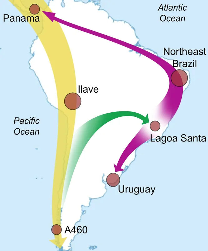 Geneticists have built a map of human settlement in South America 2