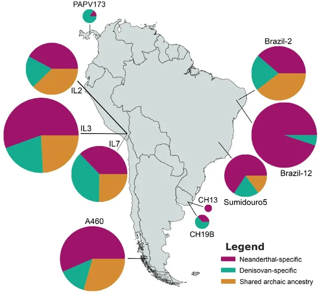 Geneticists have built a map of human settlement in South America 3