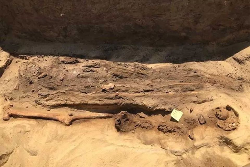 Mummies with golden tongues found in the Nile Delta